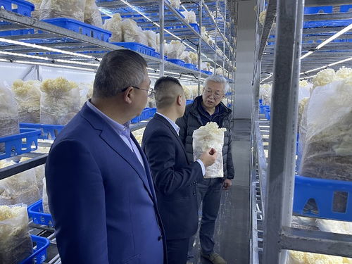 趙衛(wèi)深入商洛開展企業(yè)管理咨詢調(diào)研，助力區(qū)域經(jīng)濟(jì)發(fā)展